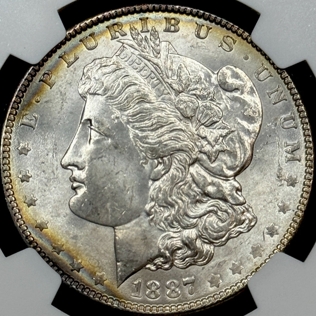 1887 Morgan Silver Dollar NGC MS64 Toned Reverse Mount