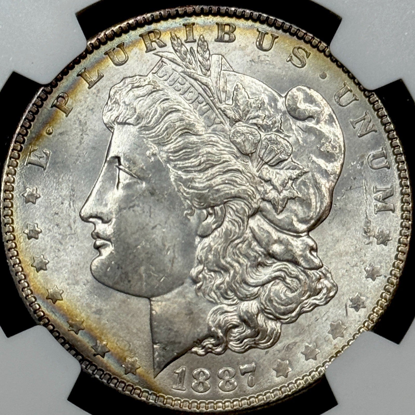 1887 Morgan Silver Dollar NGC MS64 Toned Reverse Mount