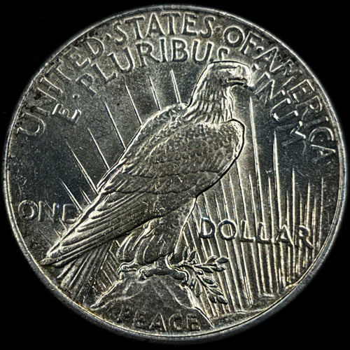 1925 Peace Silver Dollar Raw AU Rainbow Toned