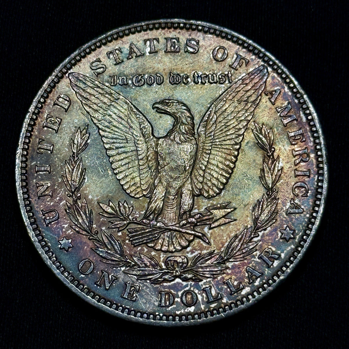 1896 Morgan Silver Dollar Raw Uncirculated Dark Tone