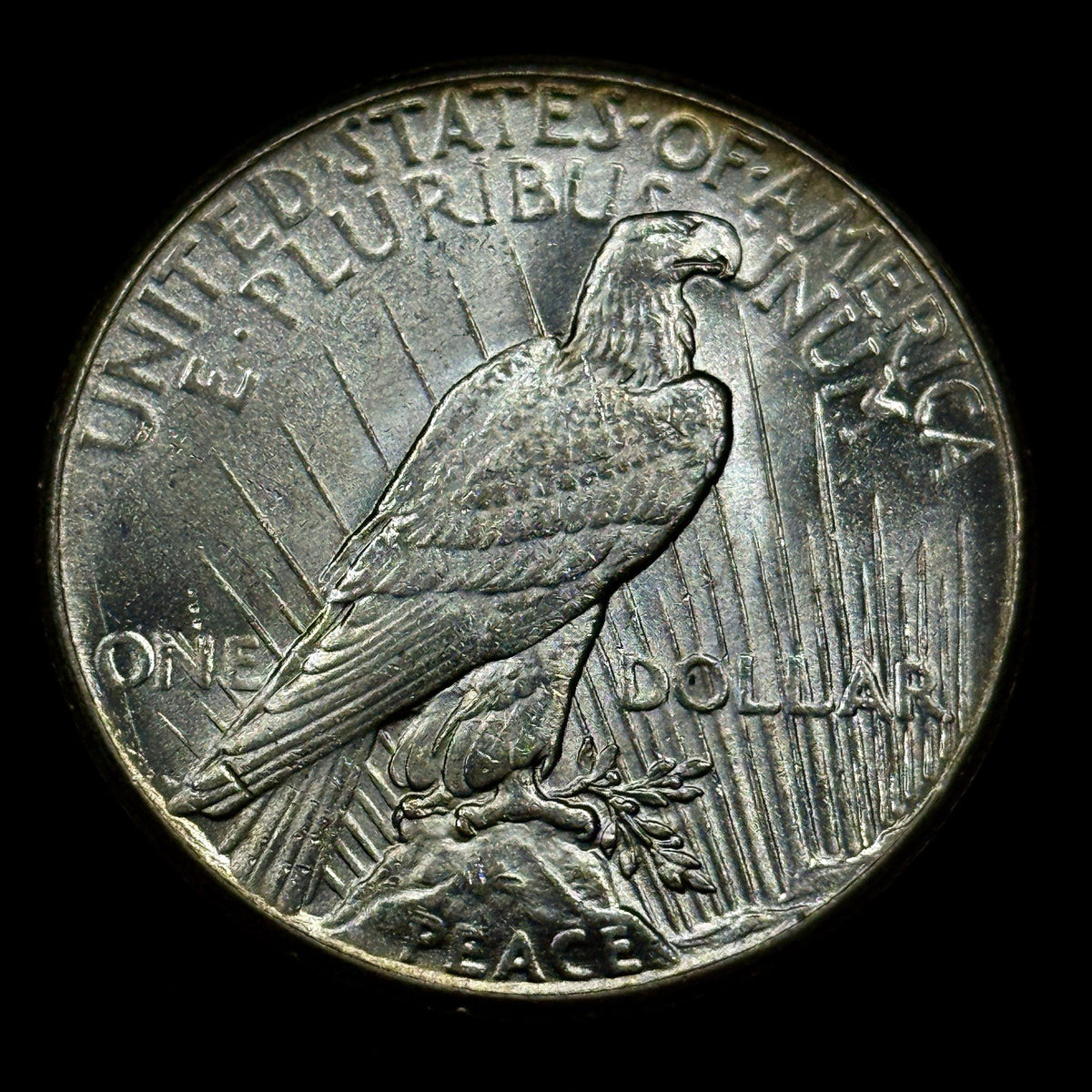 1927 Peace Silver Dollar Raw Uncirculated Nicely Toned