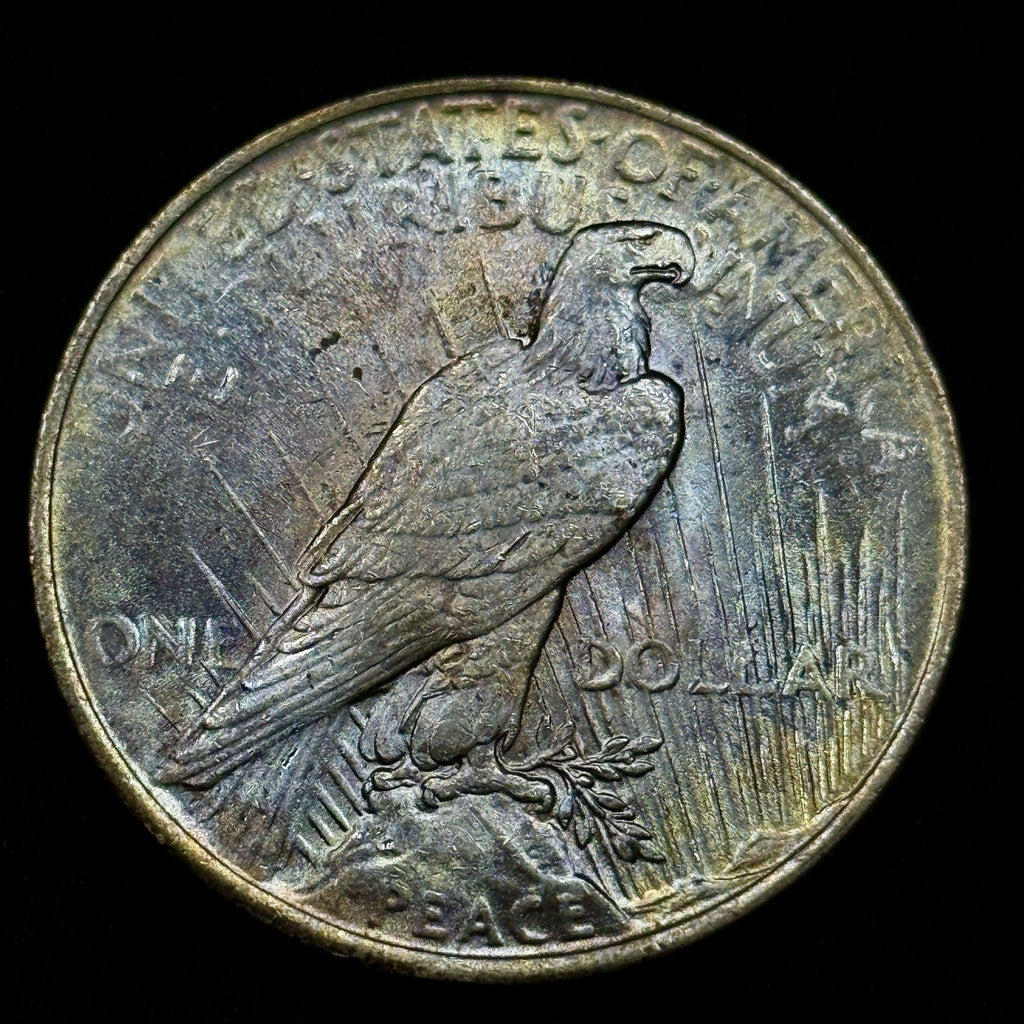 1923 Peace Silver Dollar Raw Uncirculated Rainbow Pastel Toned